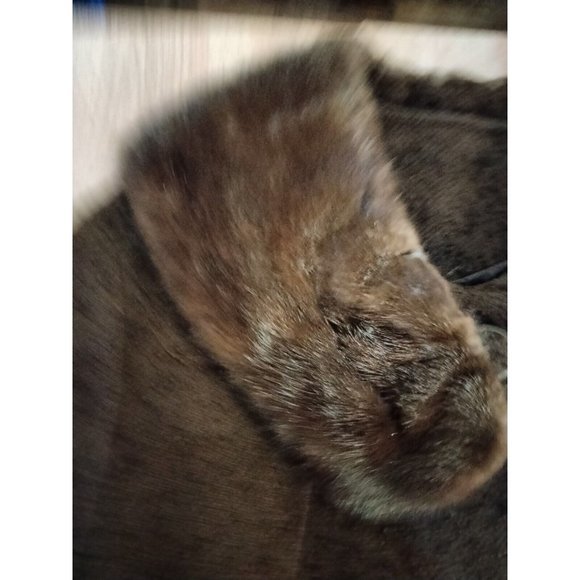 Betty Rose Vintage 1950 1960 Brown‎ Mink Collar Jacket Size Large - Picture 4 of 10